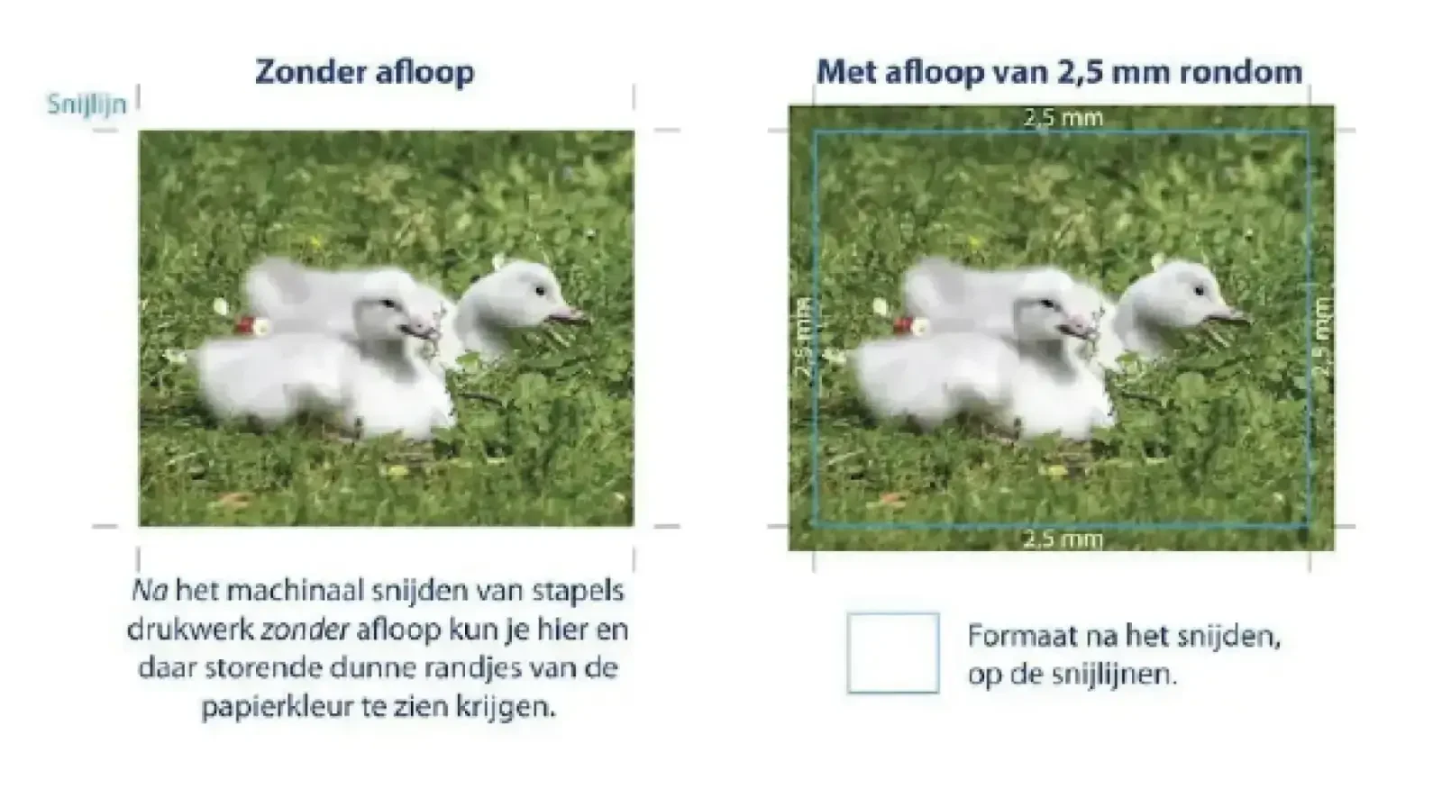 Zorg voor 3 mm afloop en snijtekens